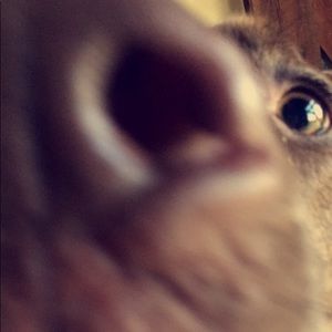 Meet your Posher, Jourdyn